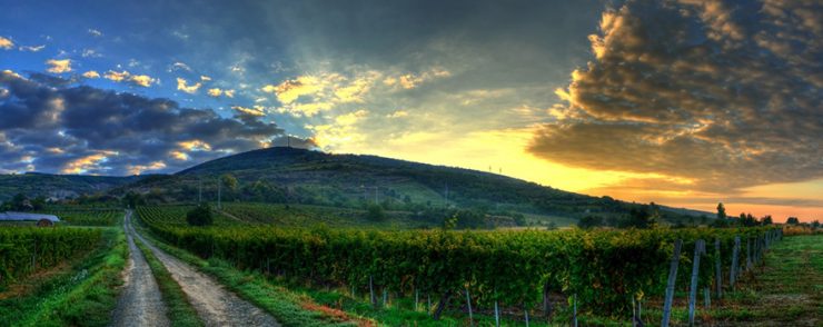 Hungarian Wines on Three, 3 Michelin Star Restaurant Menus | Expat Press Hungary Magazine 4