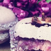 ’New Wave Cake Tour’ in Budapest