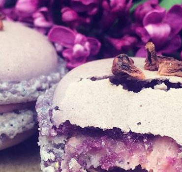 ’New Wave Cake Tour’ in Budapest