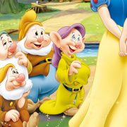 The Seven Expat Categories