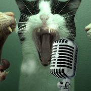 Karaoke bars in Budapest