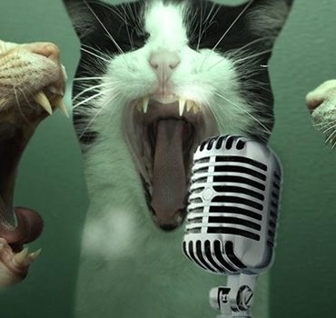 Karaoke bars in Budapest