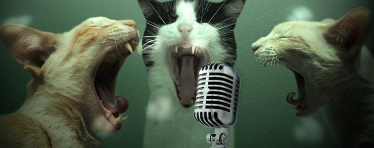 Karaoke bars in Budapest