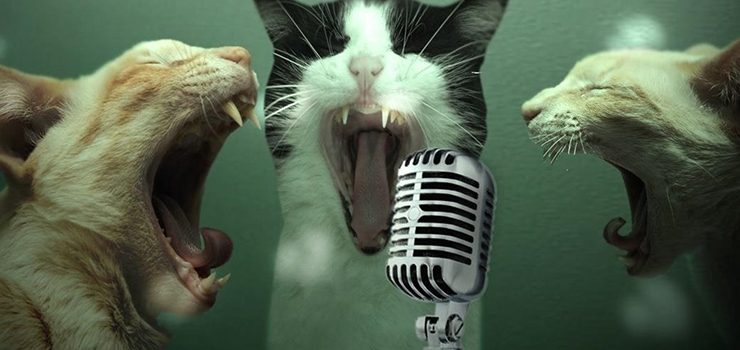 Karaoke bars in Budapest