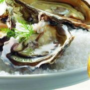 'Töltött Hold' Gastro Weekend in Budapest