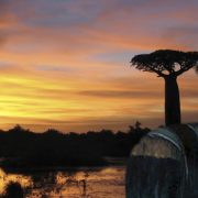 the Adventurous Hungarian King of Madagascar