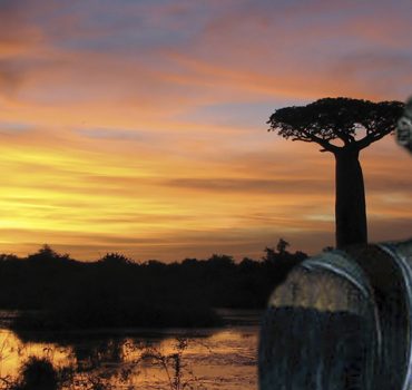 the Adventurous Hungarian King of Madagascar