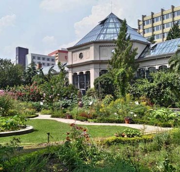 Guess What’s Happening in Budapest? | Expat Press Hungary Magazine 1