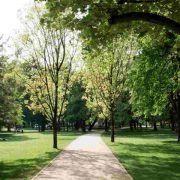 Budapest's best hidden parks - Margitsziget