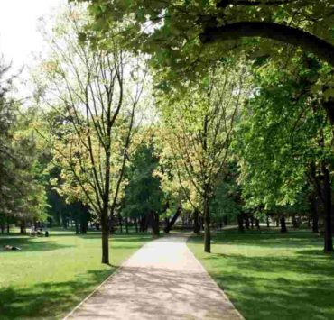 Budapest's best hidden parks - Margitsziget