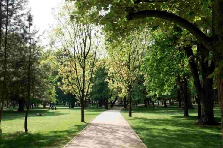 Budapest's best hidden parks - Margitsziget