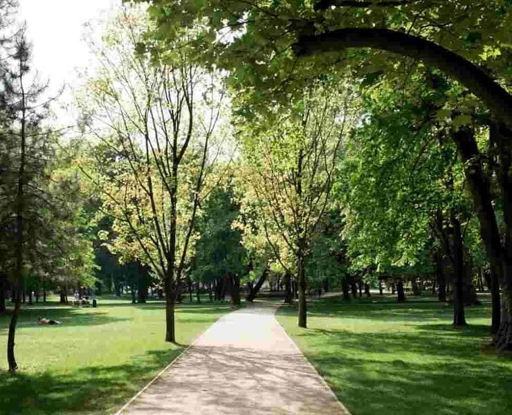 Budapest's best hidden parks - Margitsziget
