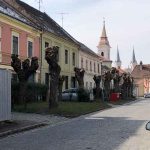 Esztergom - Discover a 1046 Years Old City