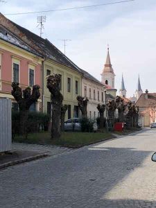 Esztergom - Discover a 1046 Years Old City