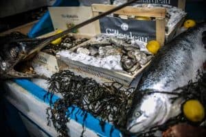 Gourmet Festival Budapest 2018 - fish