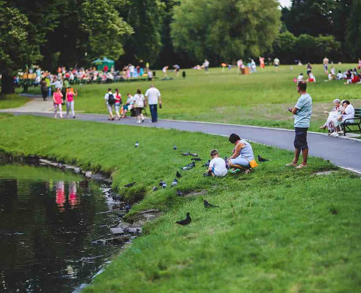 expat-press-picnic
