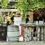 RBIF Summer BBQ 2018