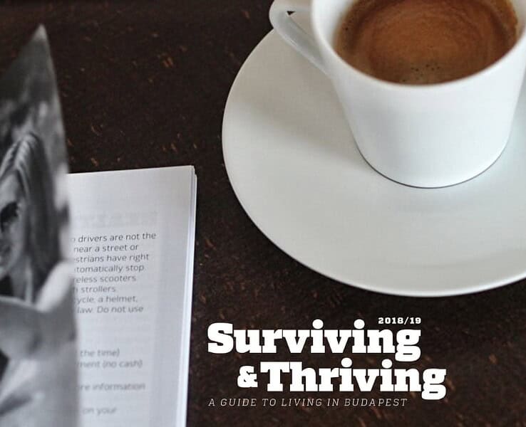 Surviving & Thriving Guide to Living in Budapest
