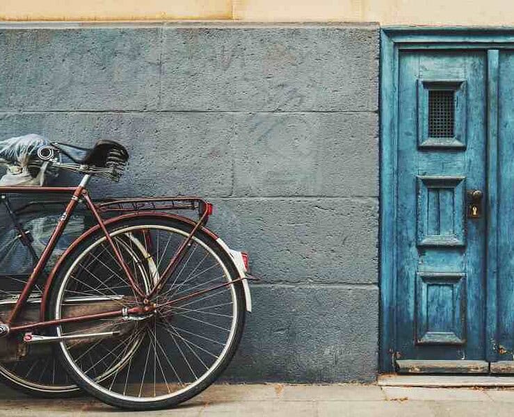 Magda Szabó - The Door