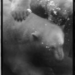 Sylvia Plachy Exhibition in Budapest/Songs in Black and White